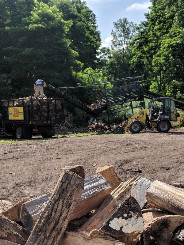 Seasoned firewood
