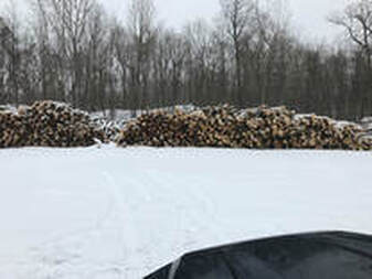 Split seasoned firewood
